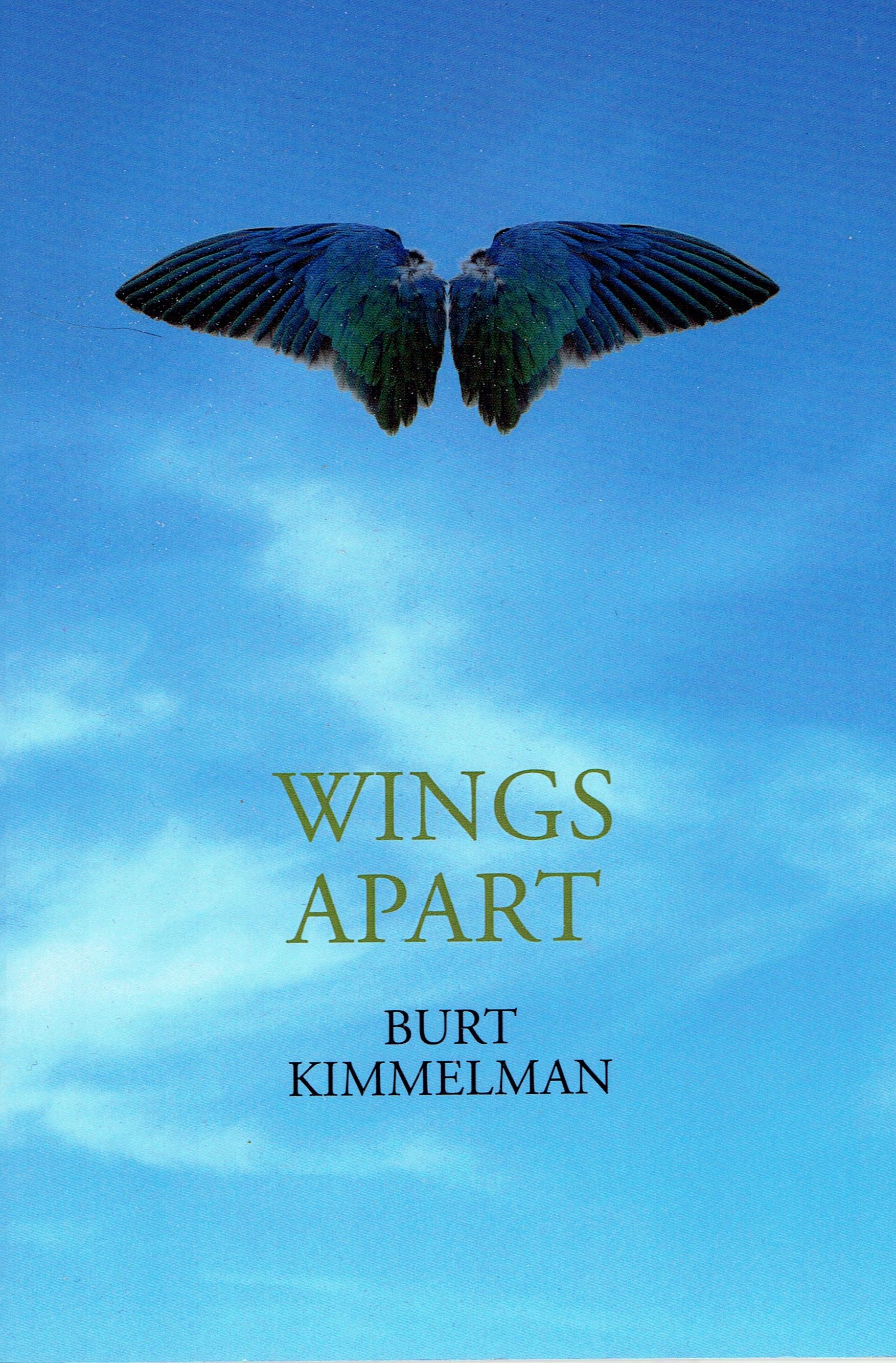 Wings Apart Front Cover
